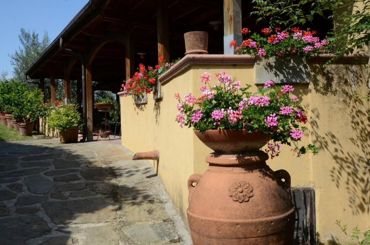 Agriturismo La Casella Castelfranco di Sopra Экстерьер фото