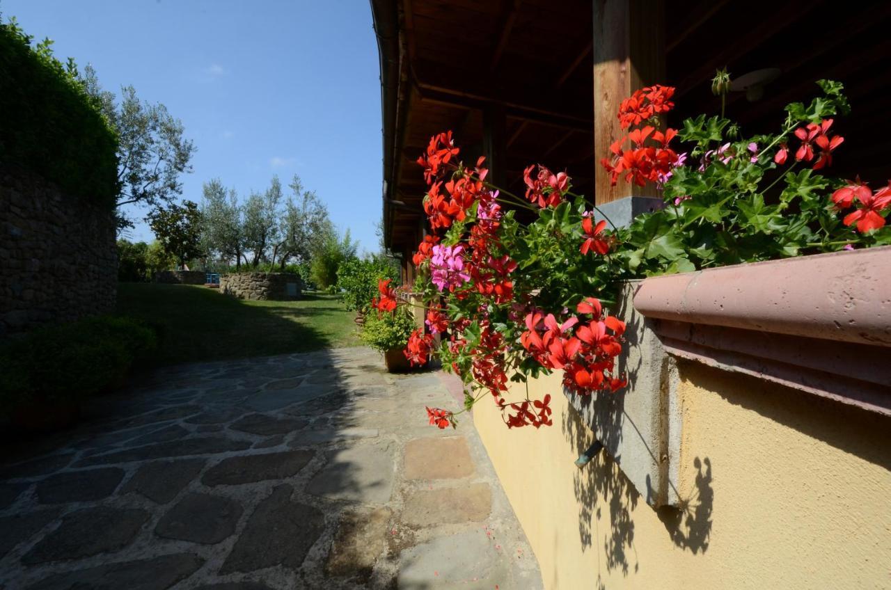 Agriturismo La Casella Castelfranco di Sopra Экстерьер фото